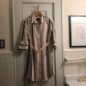 Vertical stripped collar petit shirt dress